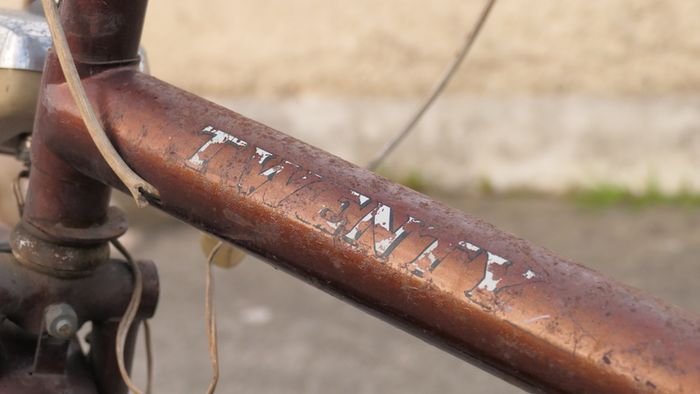Irish Built Raleigh Twenty