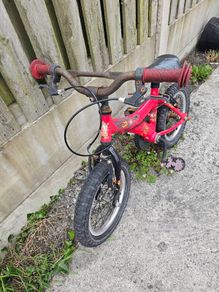 Free Raleigh Atom kids bike 14 inch wheel