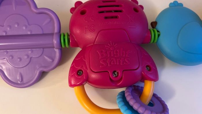 Bright Starts Busy Birdies Carrier Toy Bar