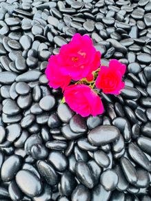 Memorial stone, grave stones polished pebbles