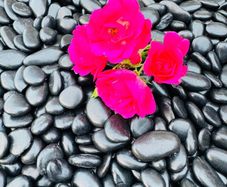 Memorial stone, grave stones polished pebbles