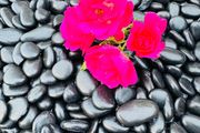 Memorial stone, grave stones polished pebbles