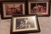three small dog pictures( m1)