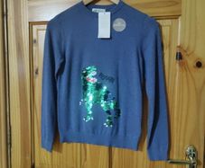 unisex H&M jumper