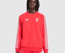 Liverpool Jumper /Sweater