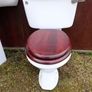 Close-coupled toilet and pedestal basin Image 3
