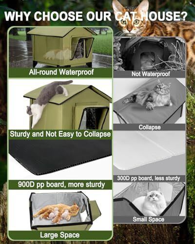 Outdoor Cat House