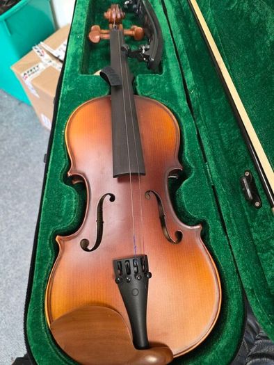 violin