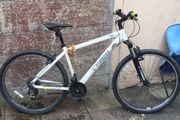 Shimano Team Bike