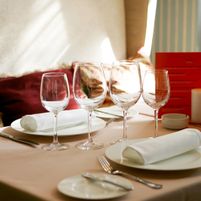 Galleria 33 Jobs in Ireland