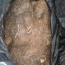 Job lot of vintage horsehair and natural upholstery stuffing weighing approximately 35KG Image 2