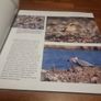 An Essential Guide to Bird Photography (Paperback) Image 8