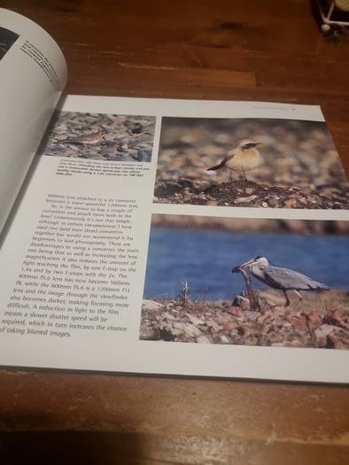 An Essential Guide to Bird Photography (Paperback)