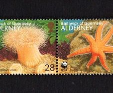 1993 Alderney Marine Life Commemorative Stamps Mint Never Hinged (MNH)