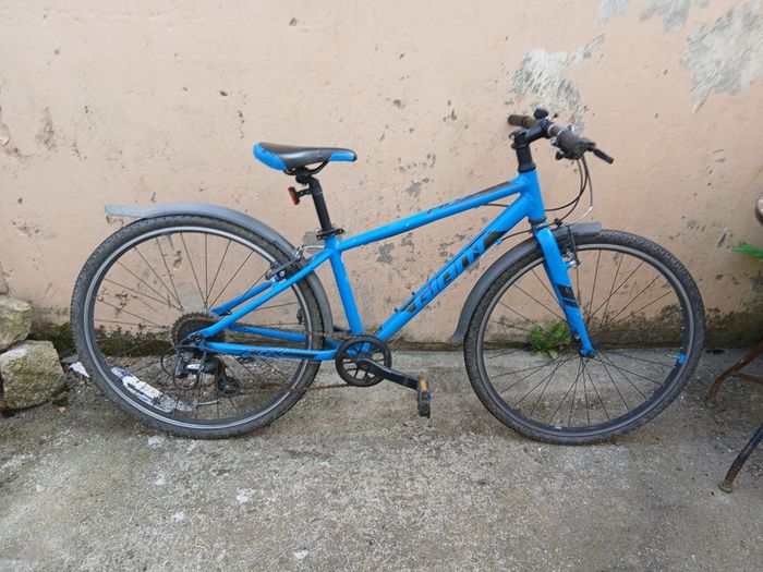 Mountain bike