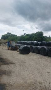 Silage