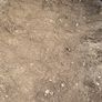Soil Image 3