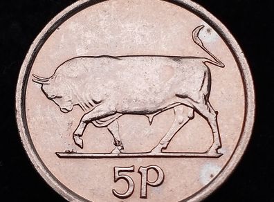 [#2586] - Ireland 2000 | Irish 5p | 5 Pence | Bull | KM.28 | MS