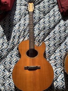 1986 Washburn Monterey