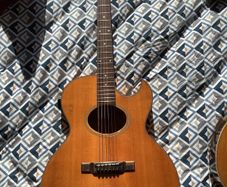 1986 Washburn Monterey