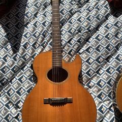 1986 Washburn Monterey