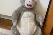 Baloo teddy