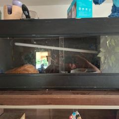 reptile tank