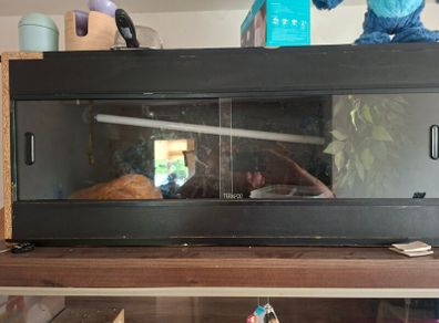 reptile tank
