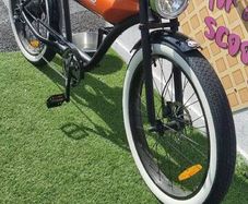 Electric bike
