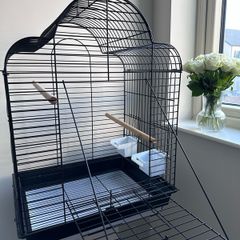 Black Bird/Parrot Cage