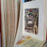 "Plain or Ringlets?" by Robert Smith Surtees, the Author of "Handley Cross", "Sponge's Sporting Tour", "Ask Mamma", Etc. Etc. Illustrated by John Leech (LP157) Image 9