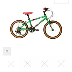 Raleigh Kids Bike