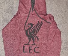 Liverpool Kids Hoodie (Age 9 to 10, Genuine LFC Store)
