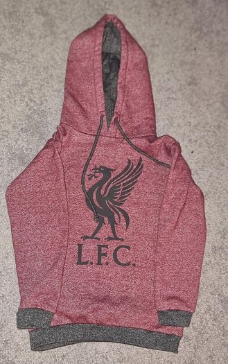 Liverpool Kids Hoodie (Age 9 to 10, Genuine LFC Store)
