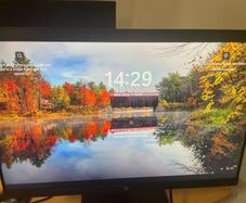 HP Z24 Monitor