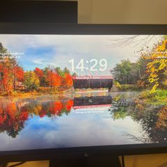 HP Z24 Monitor