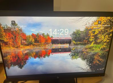 HP Z24 Monitor