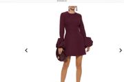 Roksanda dress NEW