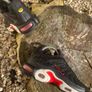 Get One Of A Kind Nike Leopard Print TNs Image 3