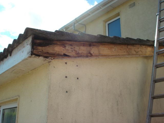 Roof and Gutters Repair, Exterior & Interior Painting, Powerwashing-Cleaning Service