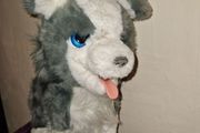 FurReal Friends Ricky the Trick loving Husky - Fully working
