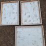Beautiful Set of 3 Vintage Botanical Canvas Prints by Wild Apple Portfolio Image 2