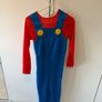 Mario and Luigi fancy dress up outfits Image 2