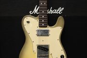 Fender Telecaster Custom with Rosewood Fretboard 1978 - Antigua