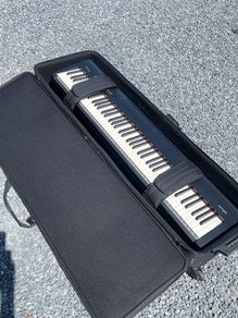 Roland FP30 with wheel case and stand