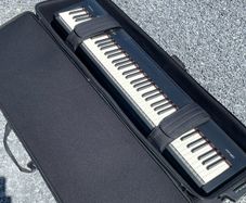 Roland FP30 with wheel case and stand