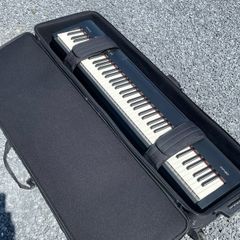 Roland FP30 with wheel case and stand