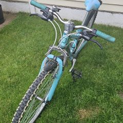 Kinetic 24" Kids Bike