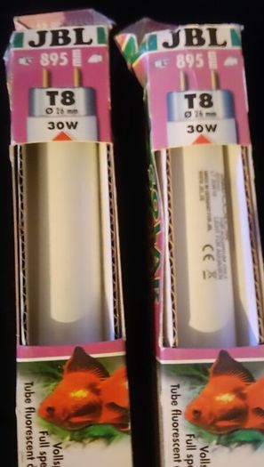 aquarium light bulbs , 4 available price per bulb
