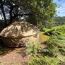 Yurt for sale Image 7